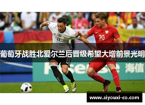 葡萄牙战胜北爱尔兰后晋级希望大增前景光明