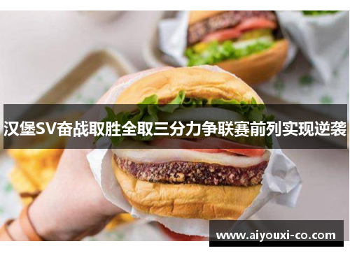 汉堡SV奋战取胜全取三分力争联赛前列实现逆袭