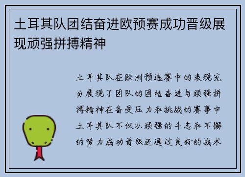 土耳其队团结奋进欧预赛成功晋级展现顽强拼搏精神