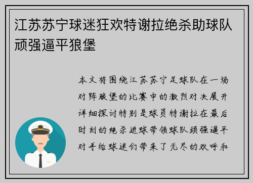 江苏苏宁球迷狂欢特谢拉绝杀助球队顽强逼平狼堡