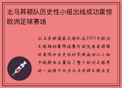 北马其顿队历史性小组出线成功震惊欧洲足球赛场