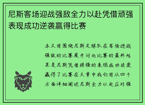 尼斯客场迎战强敌全力以赴凭借顽强表现成功逆袭赢得比赛