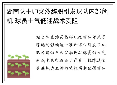 湖南队主帅突然辞职引发球队内部危机 球员士气低迷战术受阻