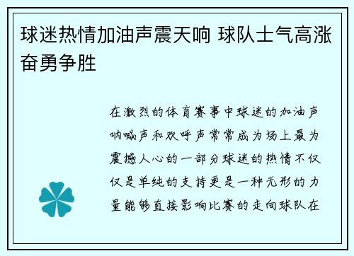 球迷热情加油声震天响 球队士气高涨奋勇争胜